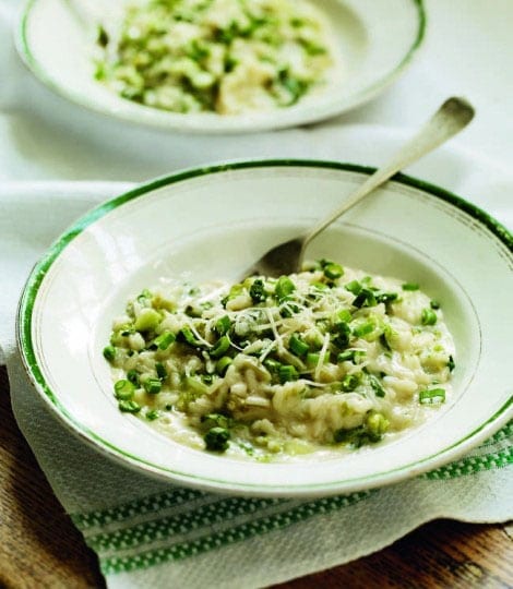 Lettuce risotto with spring onion, lemon and goat’s cheese
