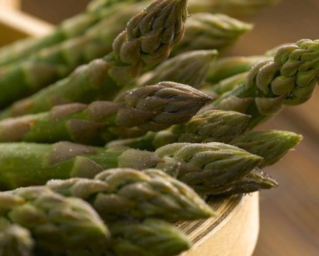 image of asparagus