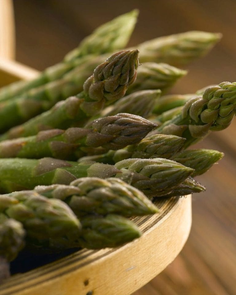 Why is the British asparagus season so short?