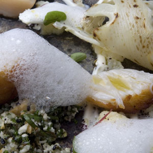 scallopcauliflower_h scallopcauliflower_h