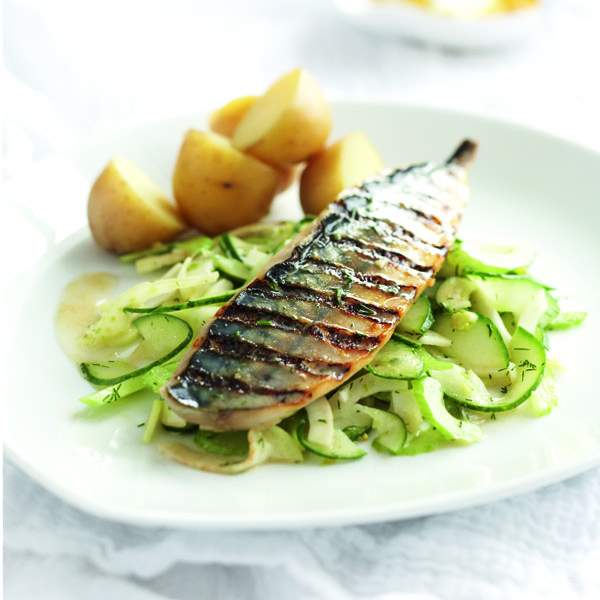 How to fillet mackerel delicious. magazine
