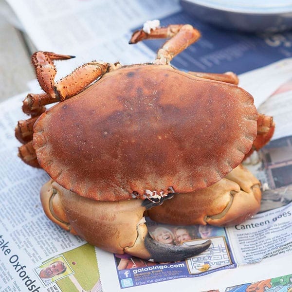 Whole crab