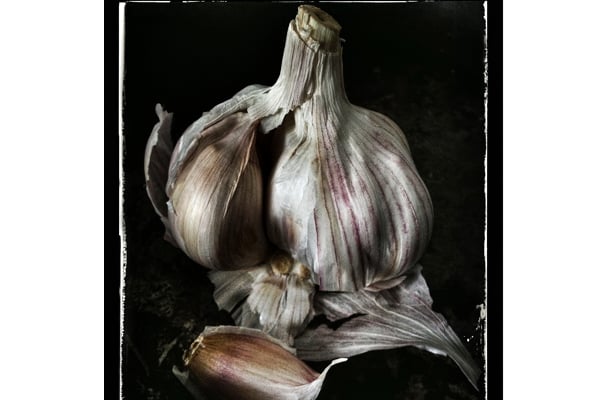 Food-Sn-apping--Lisa-Barber-(UK)---Garlic