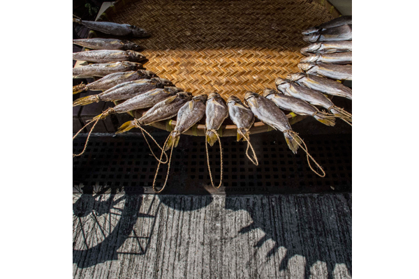 Partridges-Food-for-Sale--Sally-Stone-(UK)---Sun,-Shadows-and-Fish