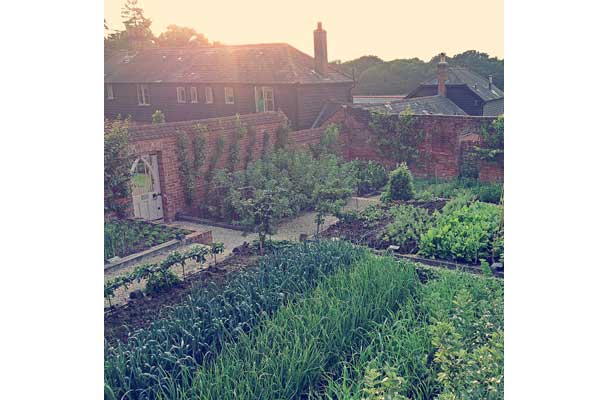 The-pig-kitchen-garden