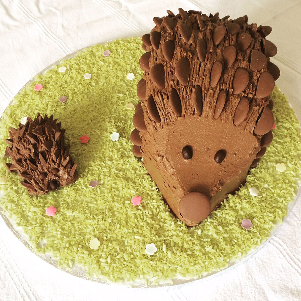 How to make a chocolate hedgehog cake delicious. magazine
