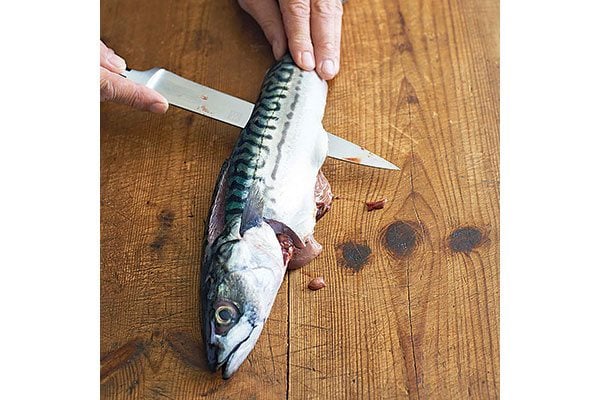 How-to-fillet-a-round-fish-3