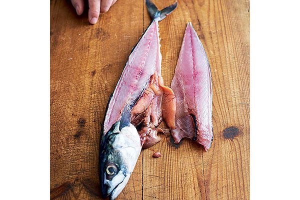 How-to-fillet-a-round-fish-4