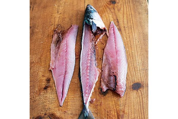 How-to-fillet-a-round-fish-7