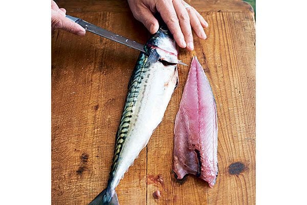 How-to-fillet-a-round-fish-5