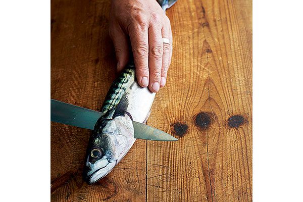 How-to-fillet-a-round-fish-1