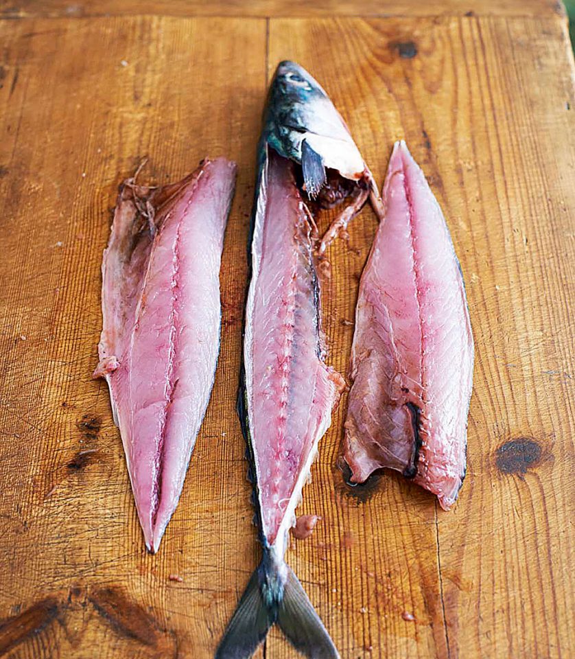 How to fillet round fish delicious. magazine