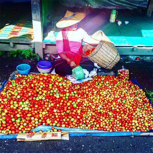 selling-tomatoes