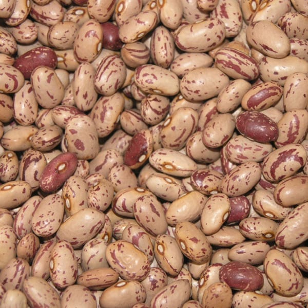 Borlotti beans