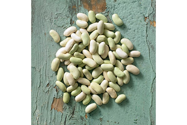 Flageolet beans pressure cooker 2025