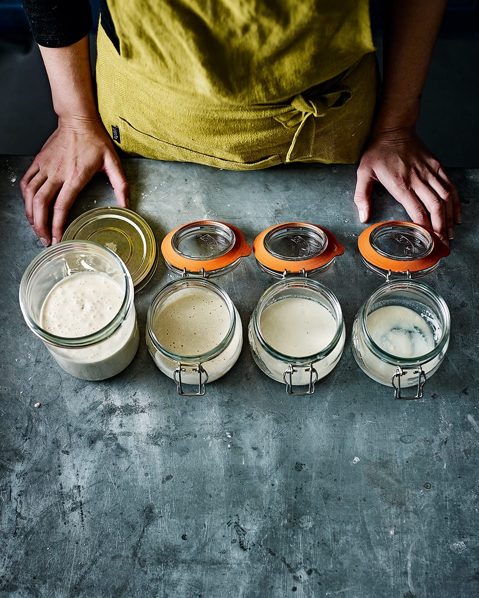 Sourdough starter and preferment recipe delicious. magazine