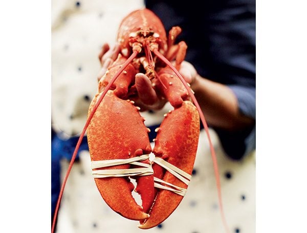 lobster