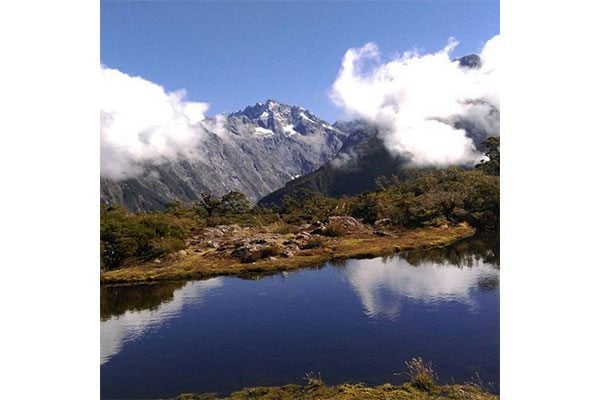 NZ_Fiordland