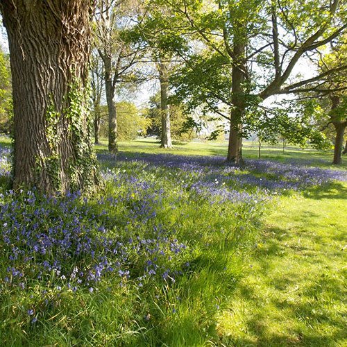 Penrhyn