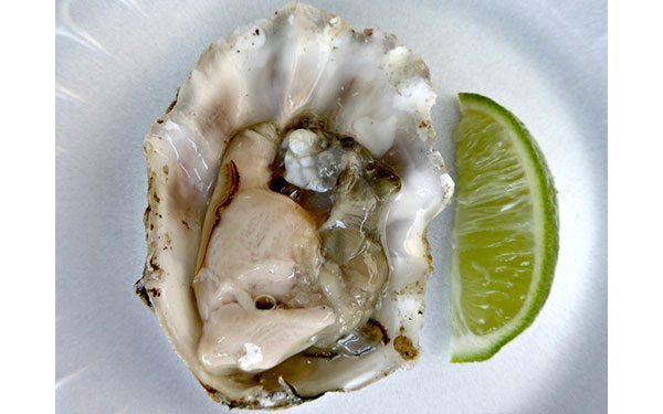 Little-Italy---oyster