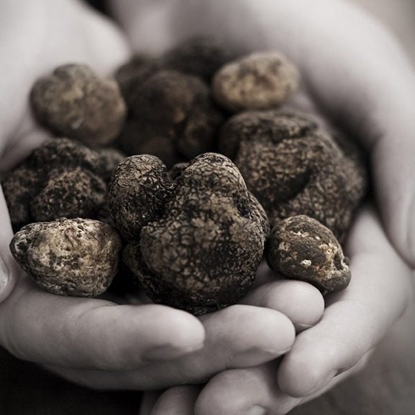 truffles