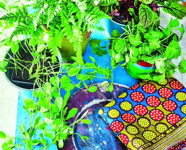 sowing-guide-spring
