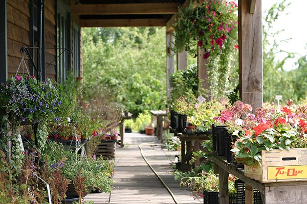 Beals-barn-gardens