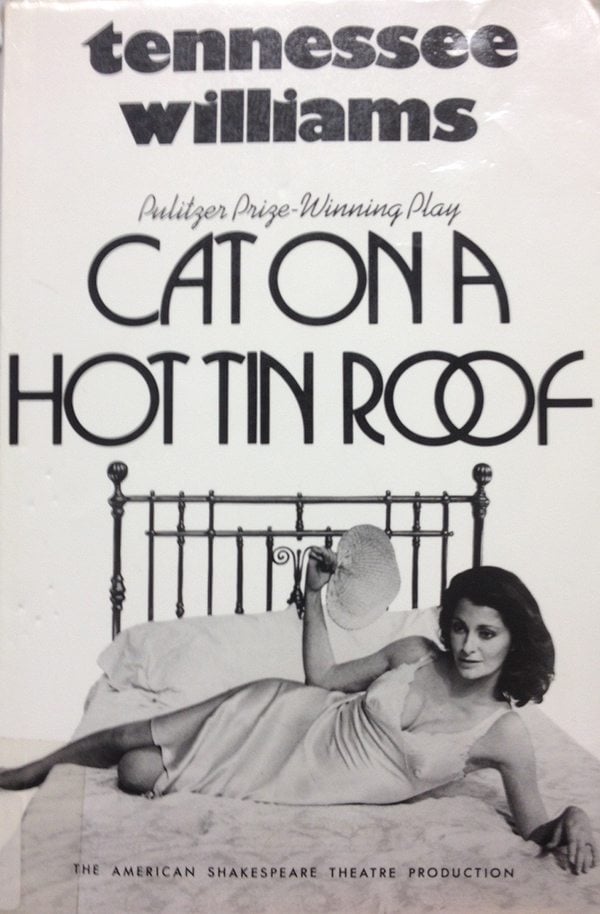 2.-cat-on-a-hot-tin-roof