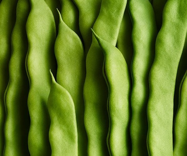 Crop_Andy-Grimshaw_Green-Beans_Hi-Res