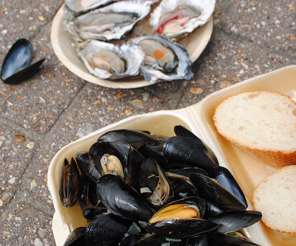 mussels and oysters image