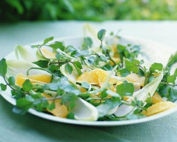 Orange and watercress salad