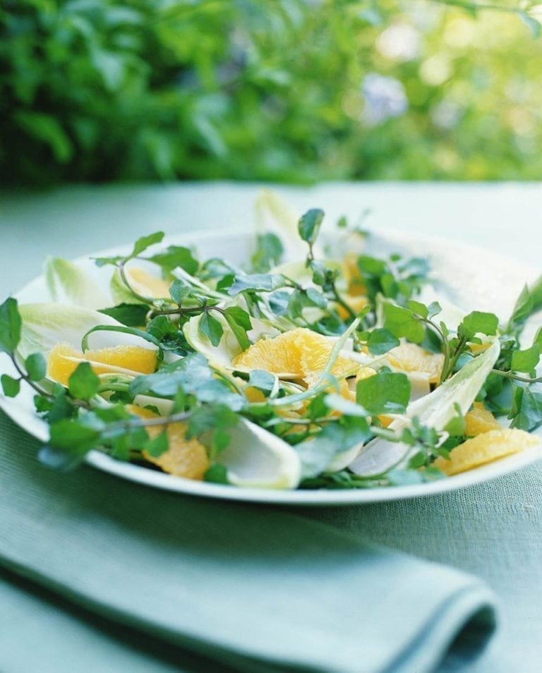 Orange and watercress salad