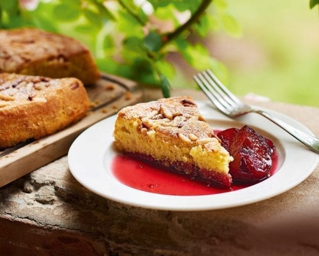 Olive oil sponge cake