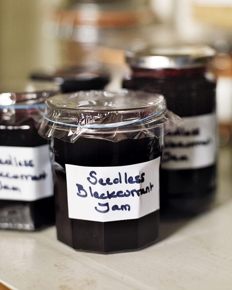 Seedless blackcurrant jam