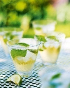 Hugo spritz recipe