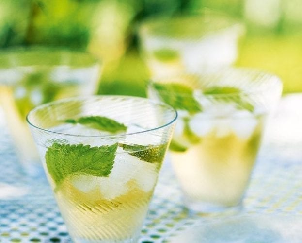 Hugo spritz recipe