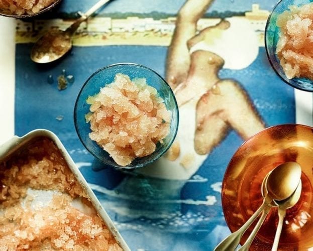 Gin and tonic granita