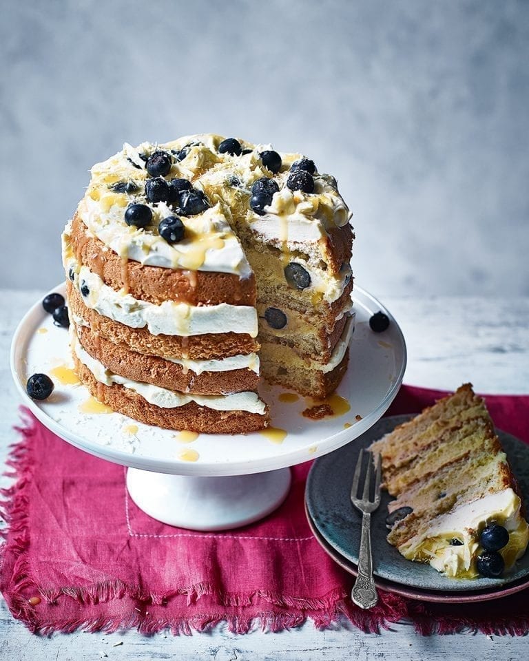 Frozen lemon and blueberry mousse cake