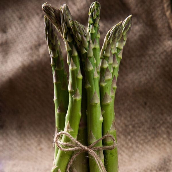 Asparagus