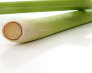 Lemongrass