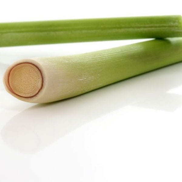 Lemongrass