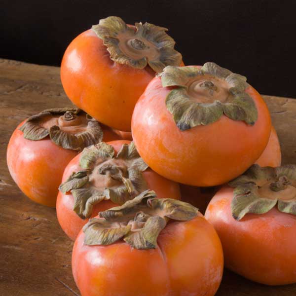 Persimmon