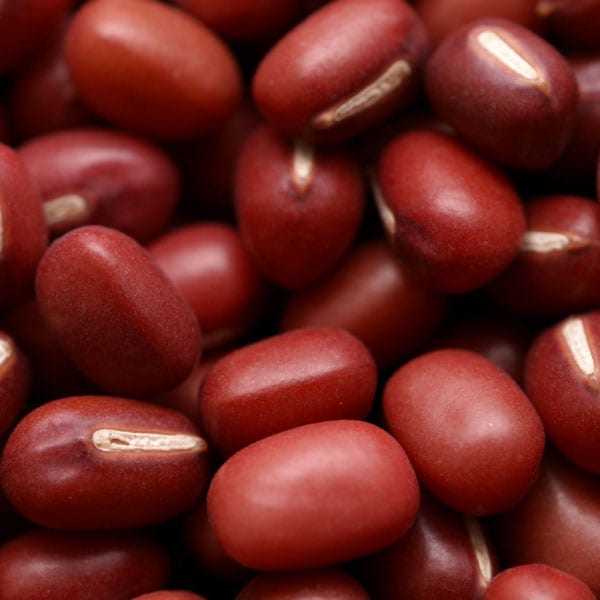 Aduki bean