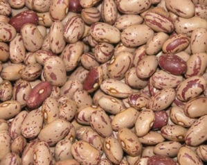 Borlotti beans