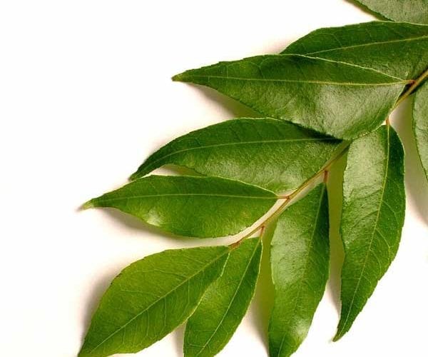 Image of green curry leaves