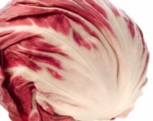 Radicchio