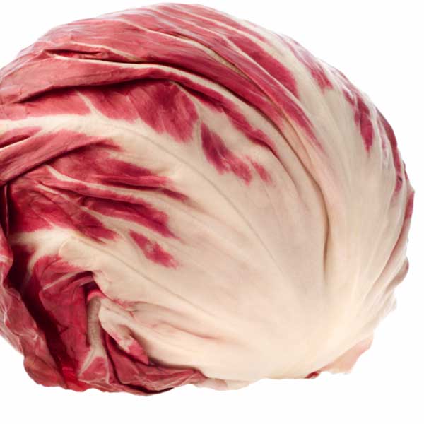 Radicchio