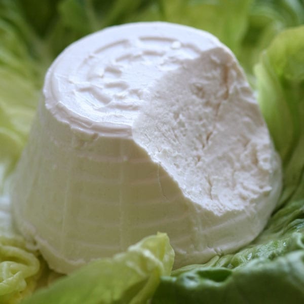 Ricotta