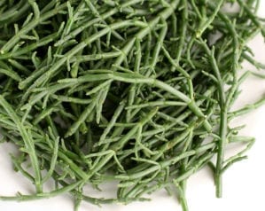 Samphire