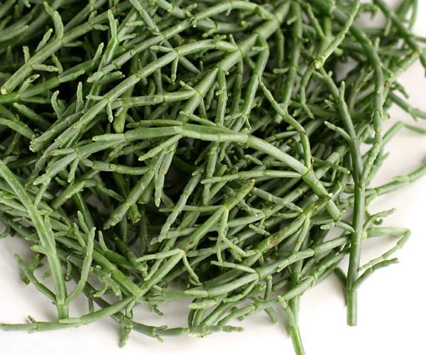 Lobster spaghetti with samphire and sheep’s cheese